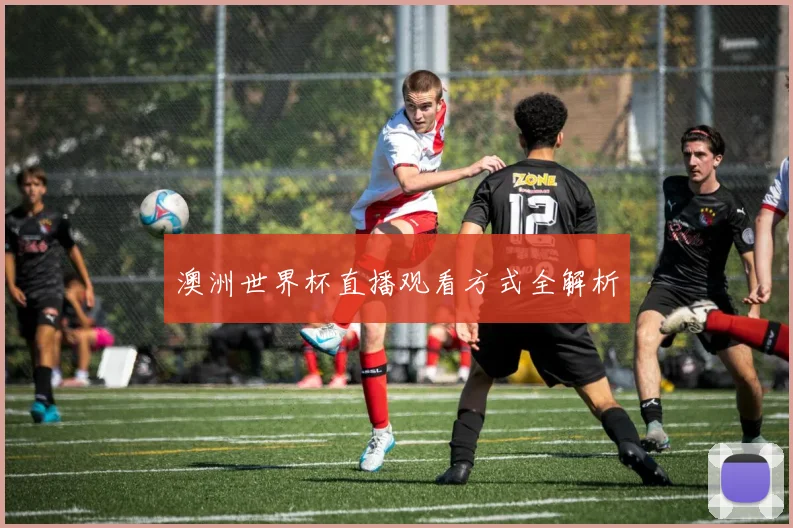 澳洲世界杯直播观看方式全解析