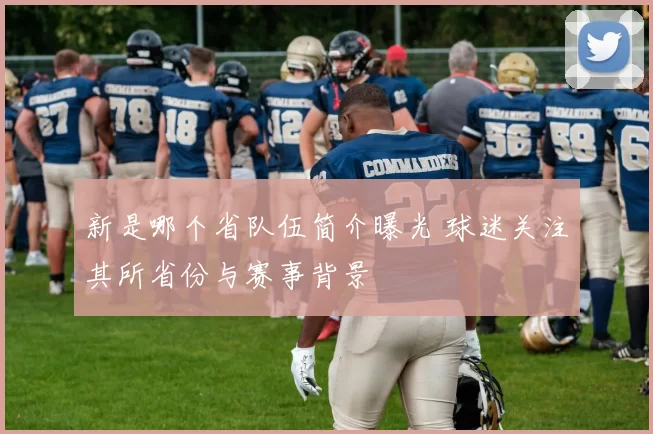 新是哪个省队伍简介曝光 球迷关注其所省份与赛事背景