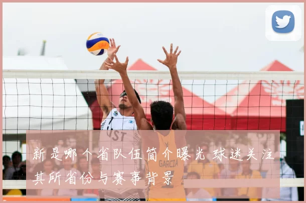 新是哪个省队伍简介曝光 球迷关注其所省份与赛事背景