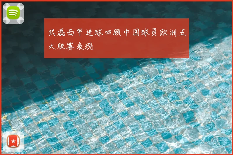 武磊西甲进球回顾中国球员欧洲五大联赛表现