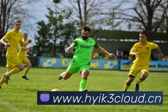 多媒体互动体验